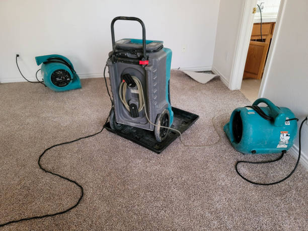  Eunice, NM Water damage restoration Pros