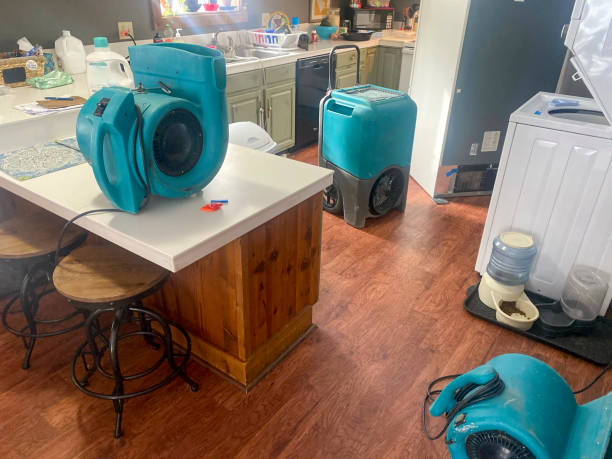Trusted Eunice, NM Water damage restoration Experts