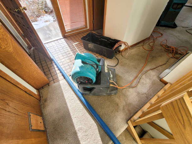 Best 24-hour water damage restoration  in Eunice, NM