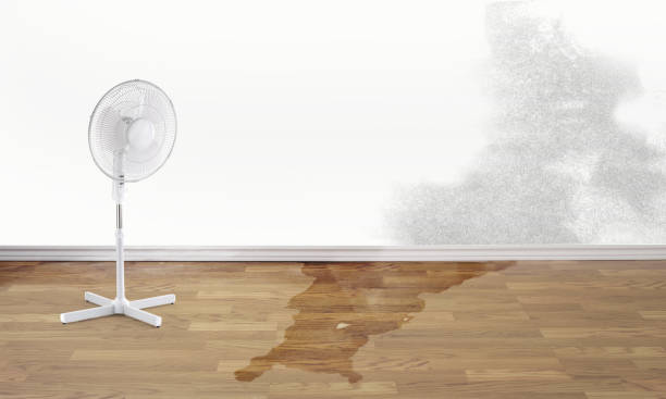 Sewage cleanup and water damage restoration in Eunice, NM