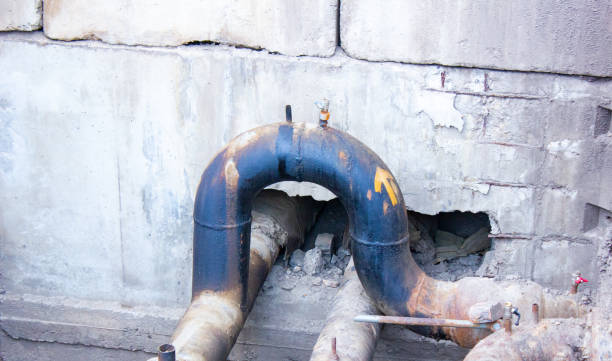 Best Flood damage cleanup  in Eunice, NM