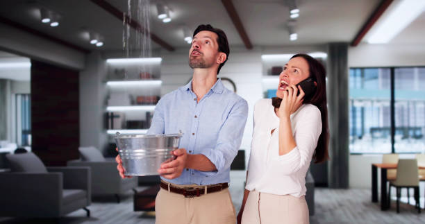 Best Water damage restoration near me  in Eunice, NM